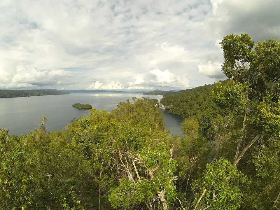 Kabui Bay
