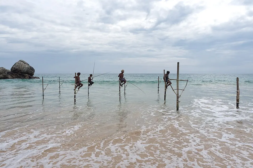 Galle 3