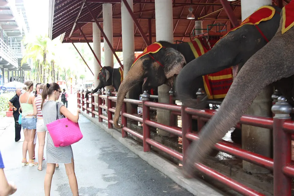 Nong Nooch Tropical Garden