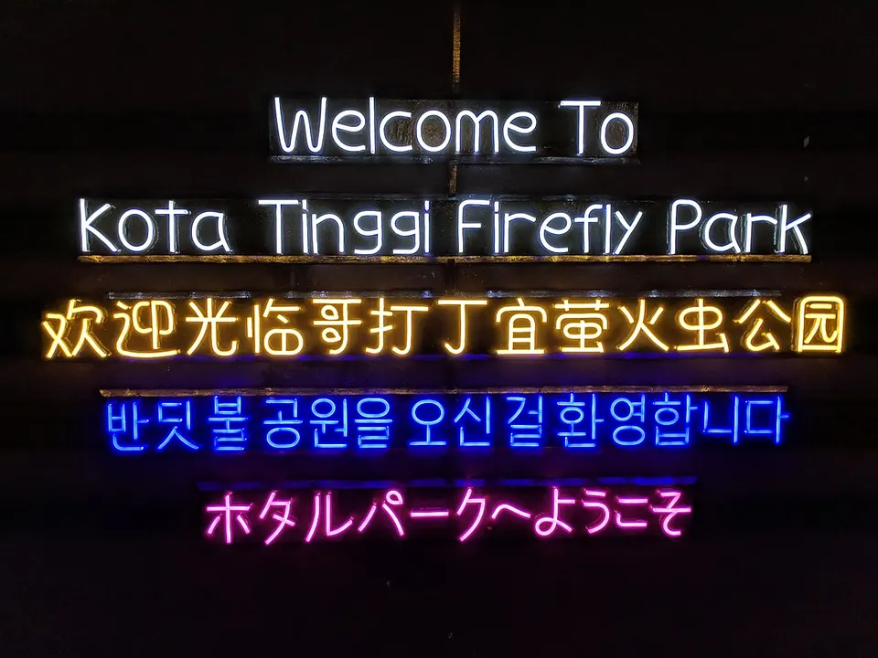 Kota Tinggi fireflies
