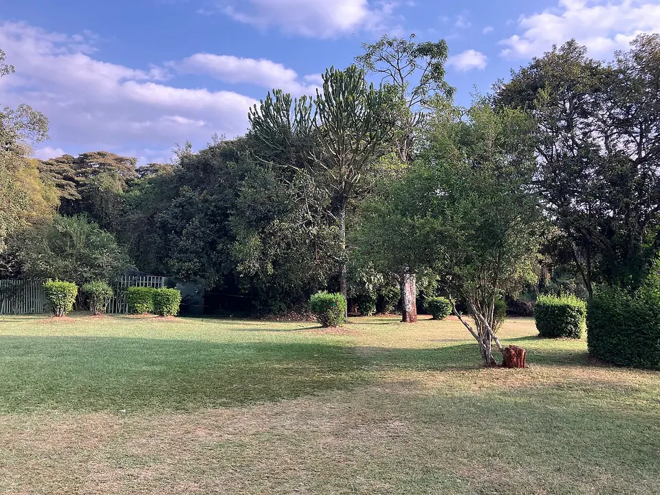Карен Бликсений музей