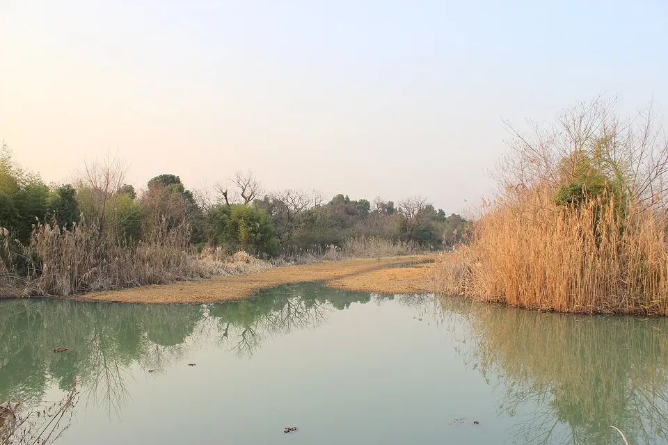 Xixi National Wetland Park