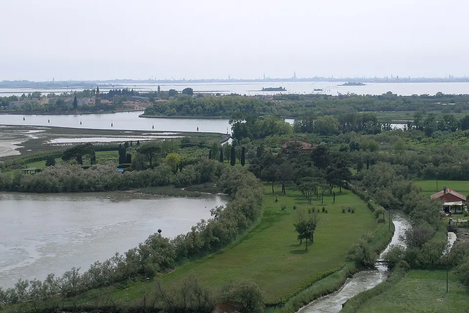Торчелло арал