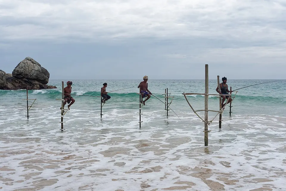 Galle 1
