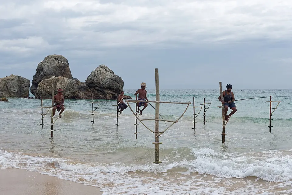 Galle 4