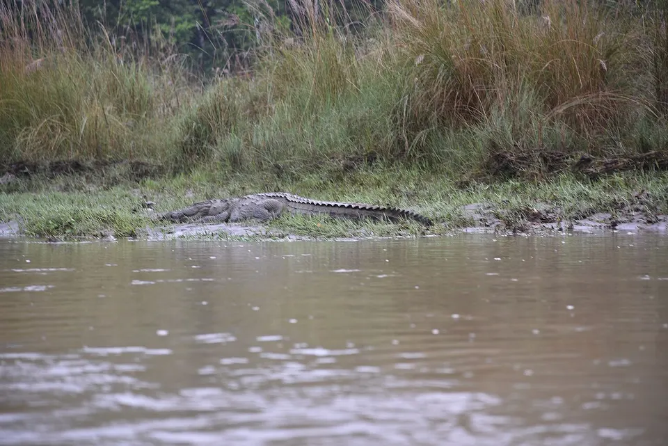 Rapti River canoe