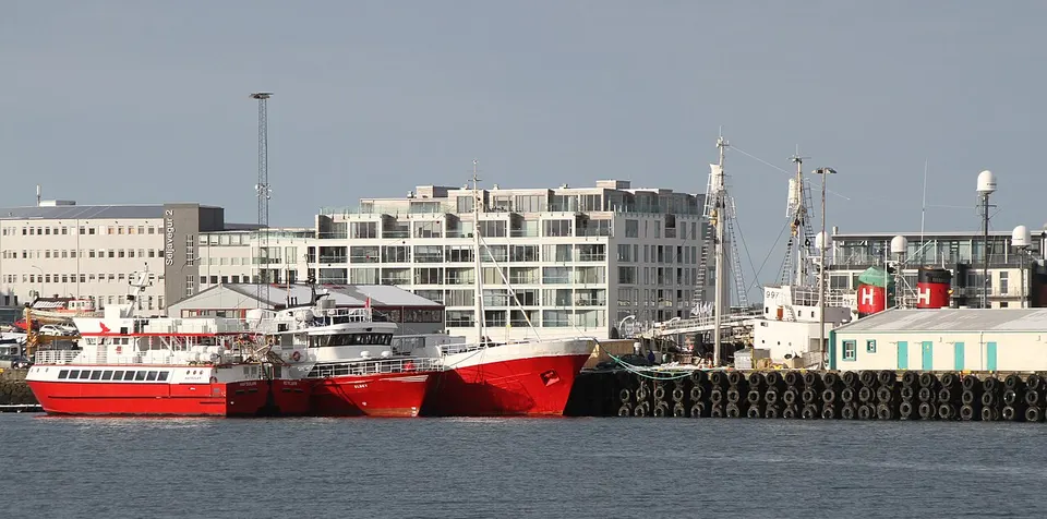 Whale watching from the Old Harbour