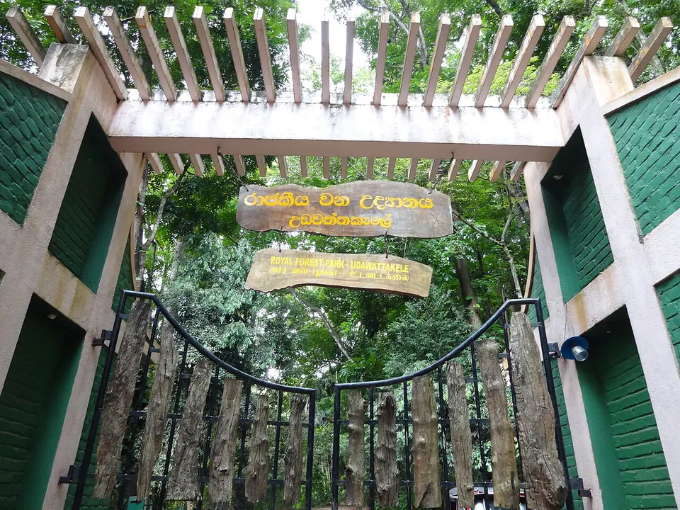 Udawatta Kele Forest