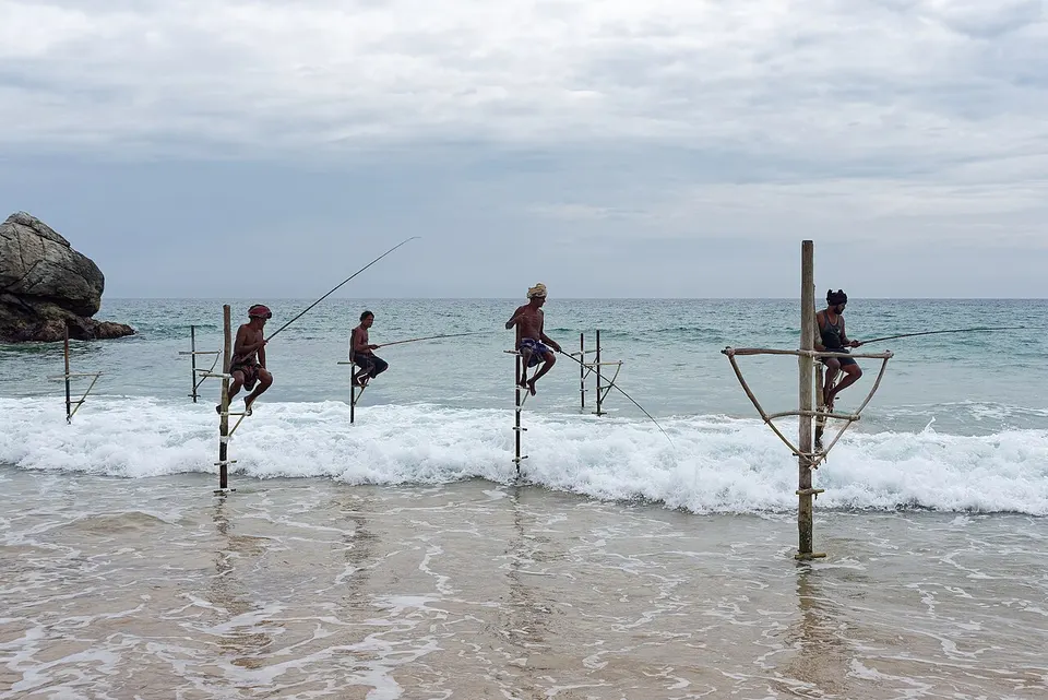 Galle 5