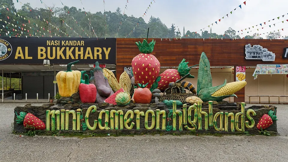 Cameron Highlands 4