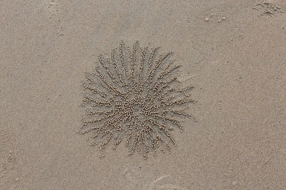 Khao Lak 4