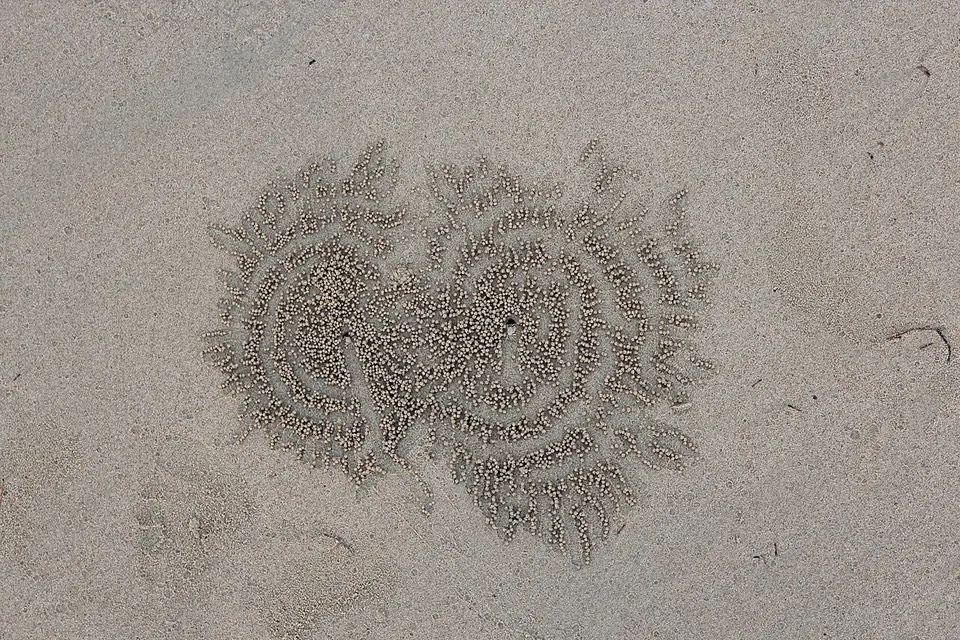 Khao Lak 5