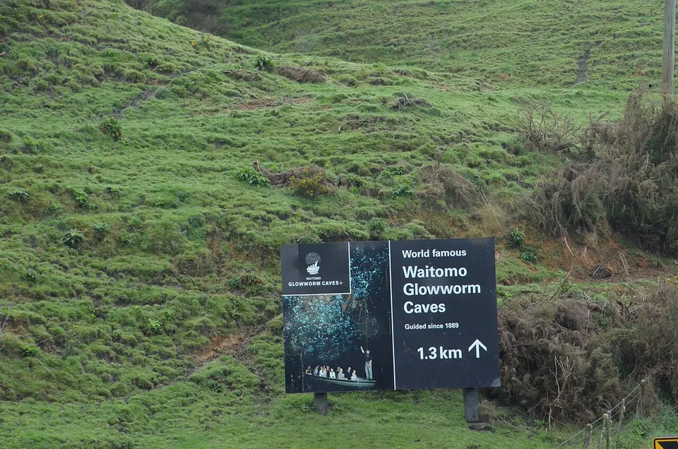Waitomo Glowworm Caves