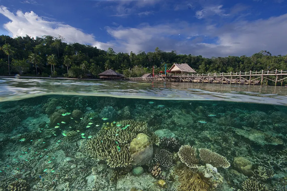 Raja Ampat 1