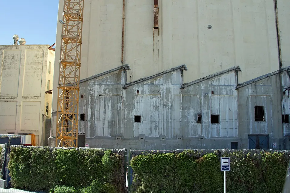 Зейц MOCAA