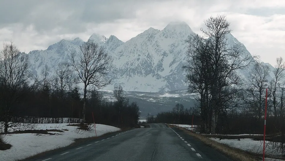 Лингений Альп